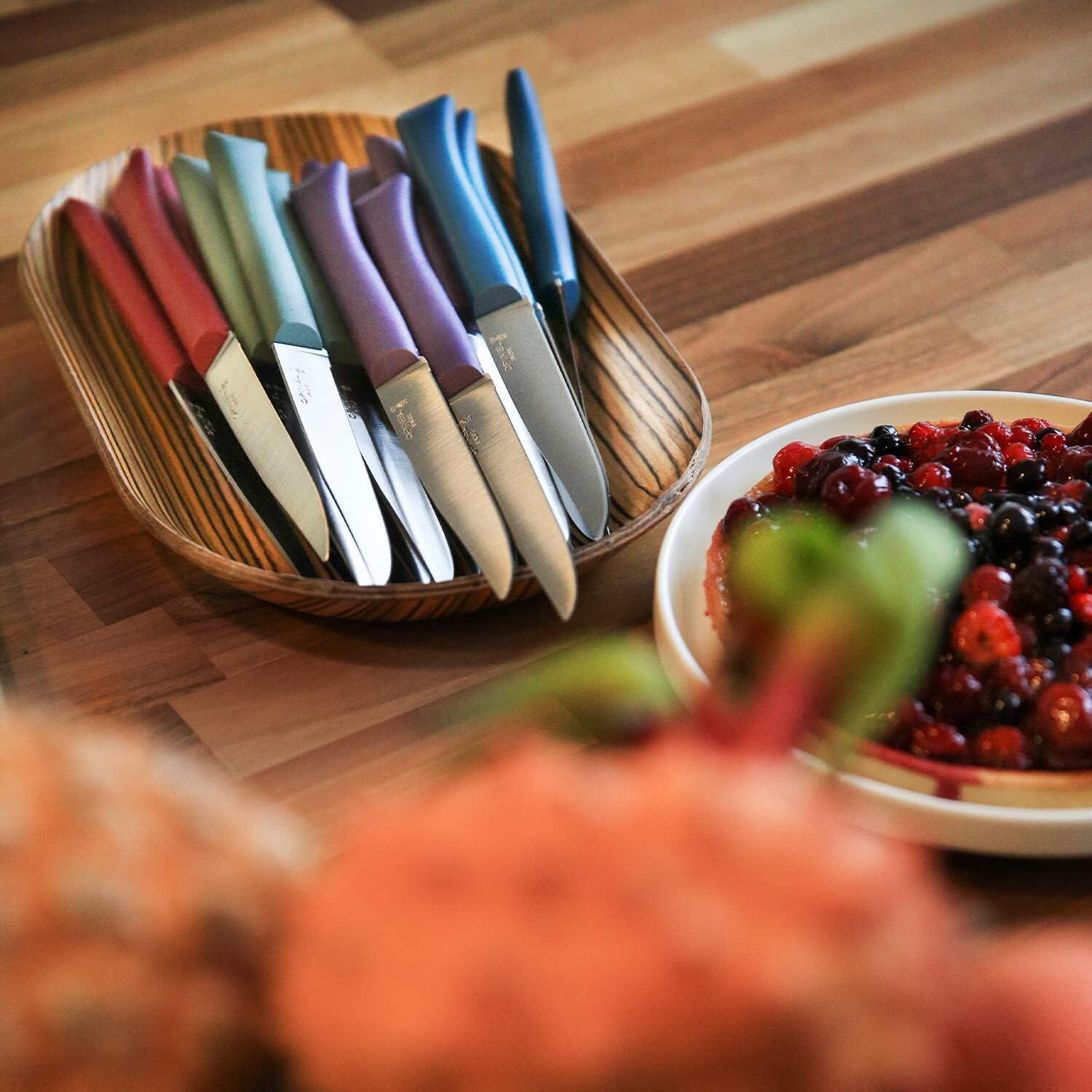 Coffret de 4 couteaux de table Bon Appêtit + Opinel Glam 3/5