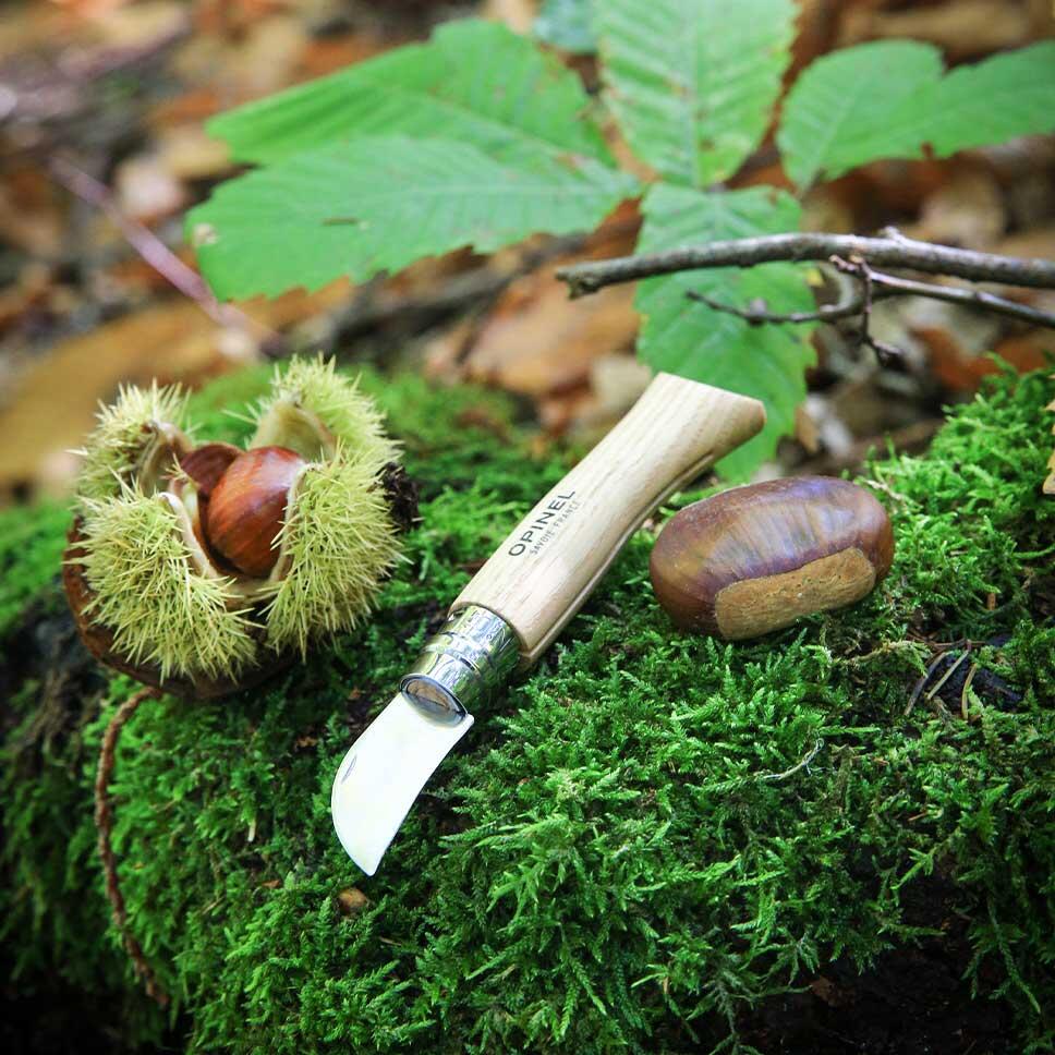 Couteau Opinel N°07 Châtaignes,  Ail et dénoyautage - Manche Chataignier 4/5