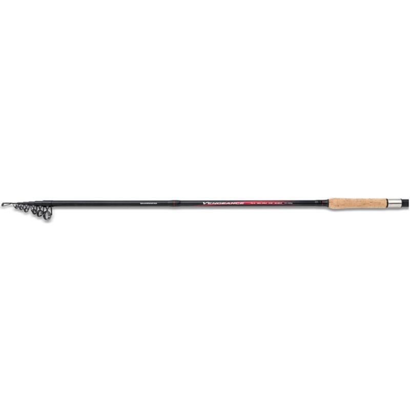 Shimano Vengeance AX Slim Tele GT 3,6m 40-80g