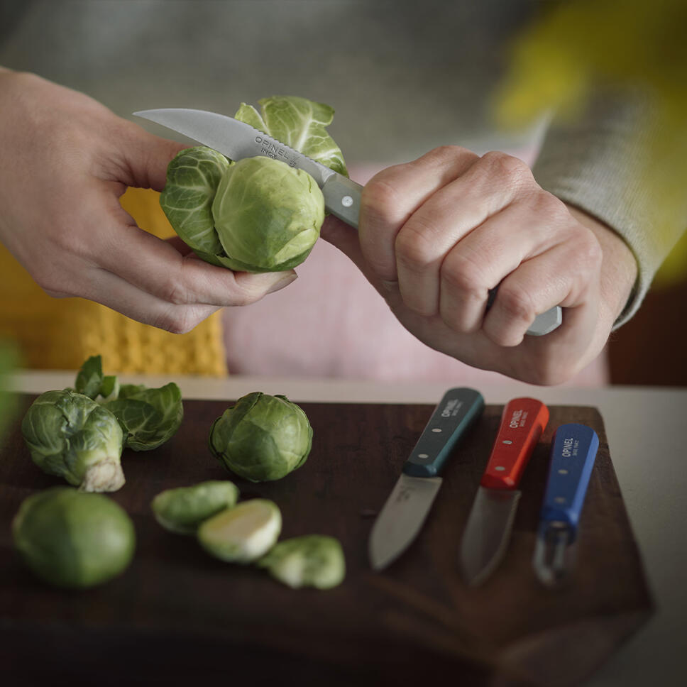 Coffret 4 Couteaux Opinel Les Essentiels Primo 4/5