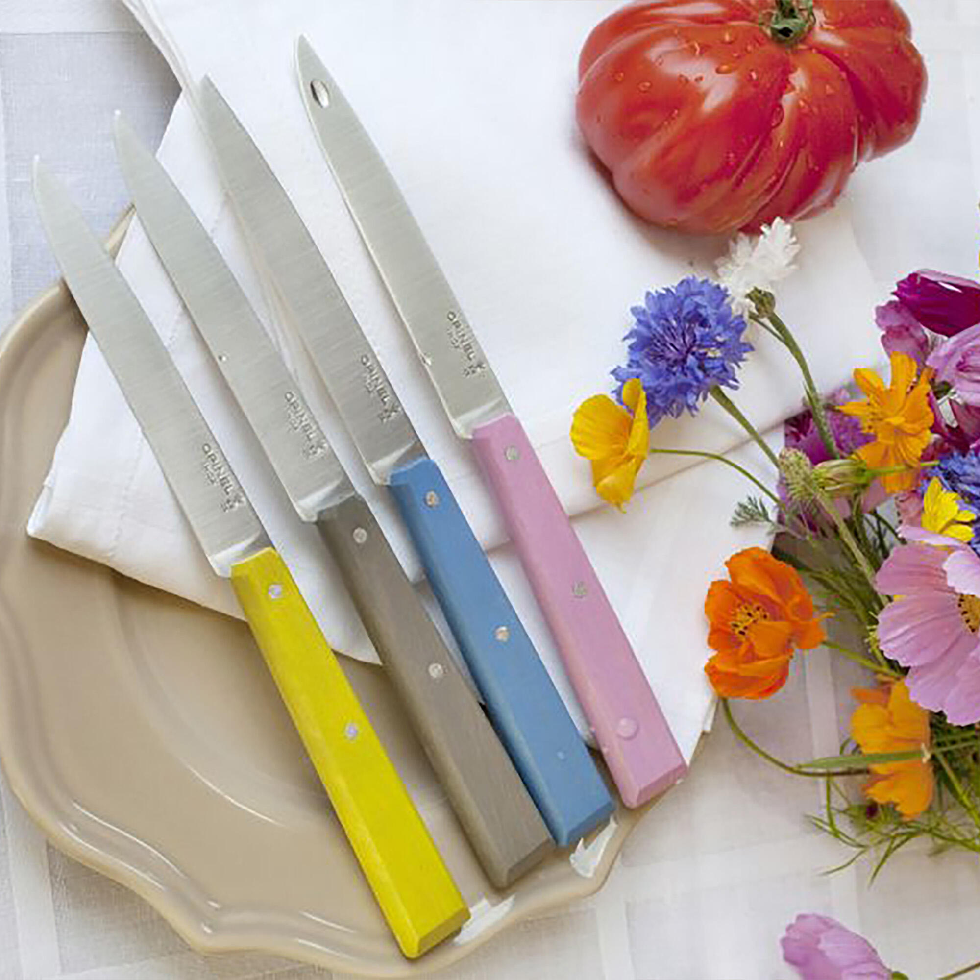 Coffret de 4 couteaux de table N°125 Opinel Bon Appêtit Campagne 3/3