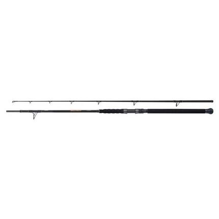 Canne spinning Shimano Beastmaster Catfish Multi 200g