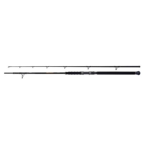Canne spinning Shimano Beastmaster Catfish Multi 200g