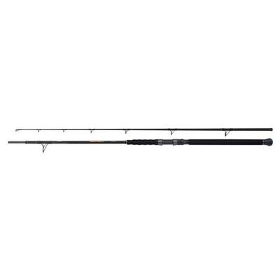 Spinhengel shimano beastmaster catfish multi 200g