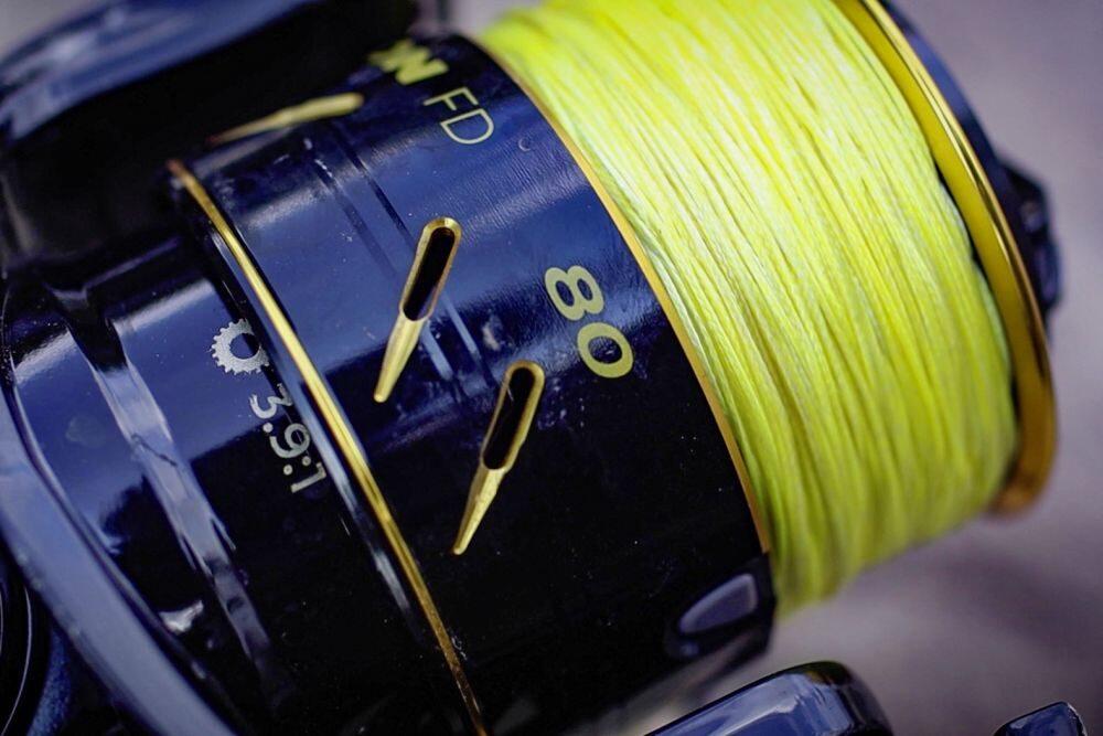 Black Cat Black Passion Fd 50 - Angelrolle 5/6