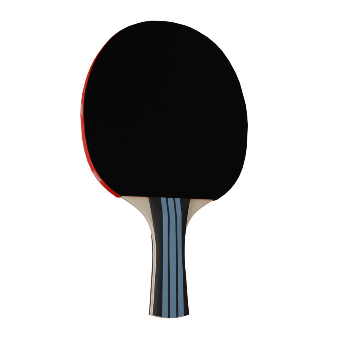 Raquette de tennis de table - 3 étoiles 2/6
