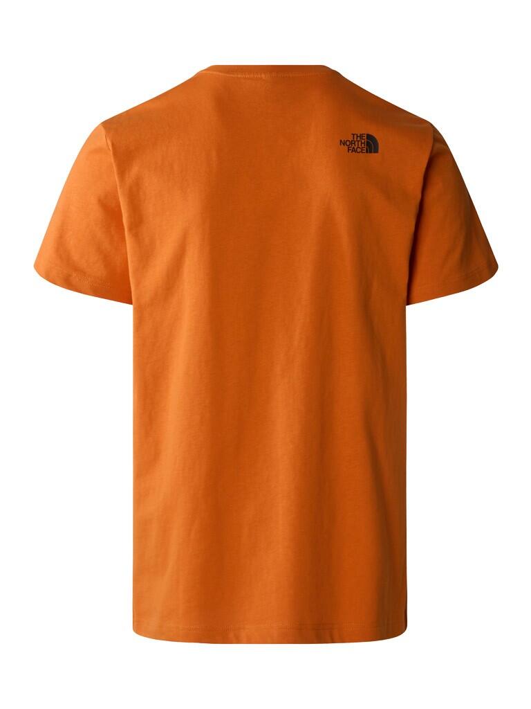 Koszulka turystyczna męska The North Face M NSE Tee 3/3