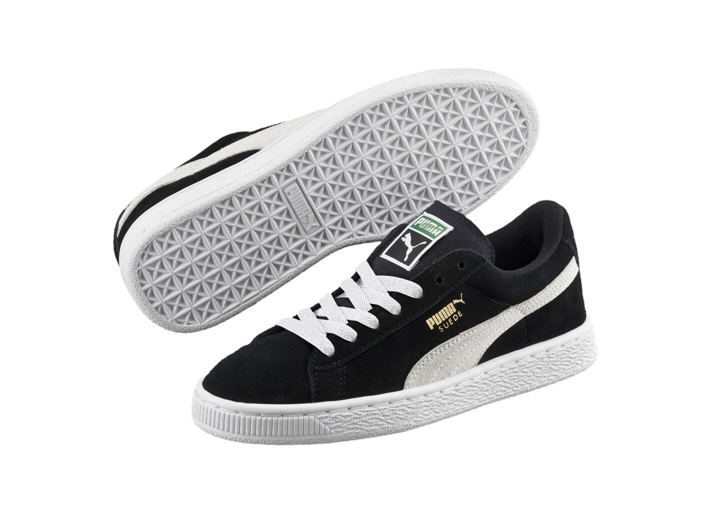 PUMA picture