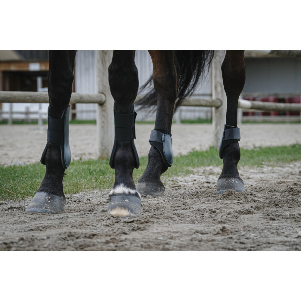 Protège-boulets Riding World Vert Cheval 2/2
