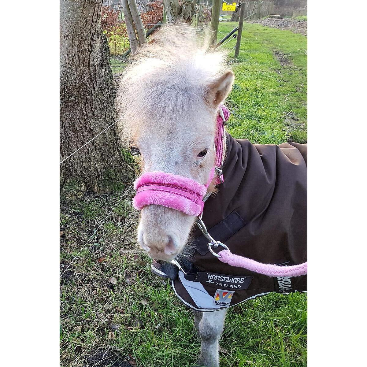 Halsterset voor paard Horka Angel 3/3