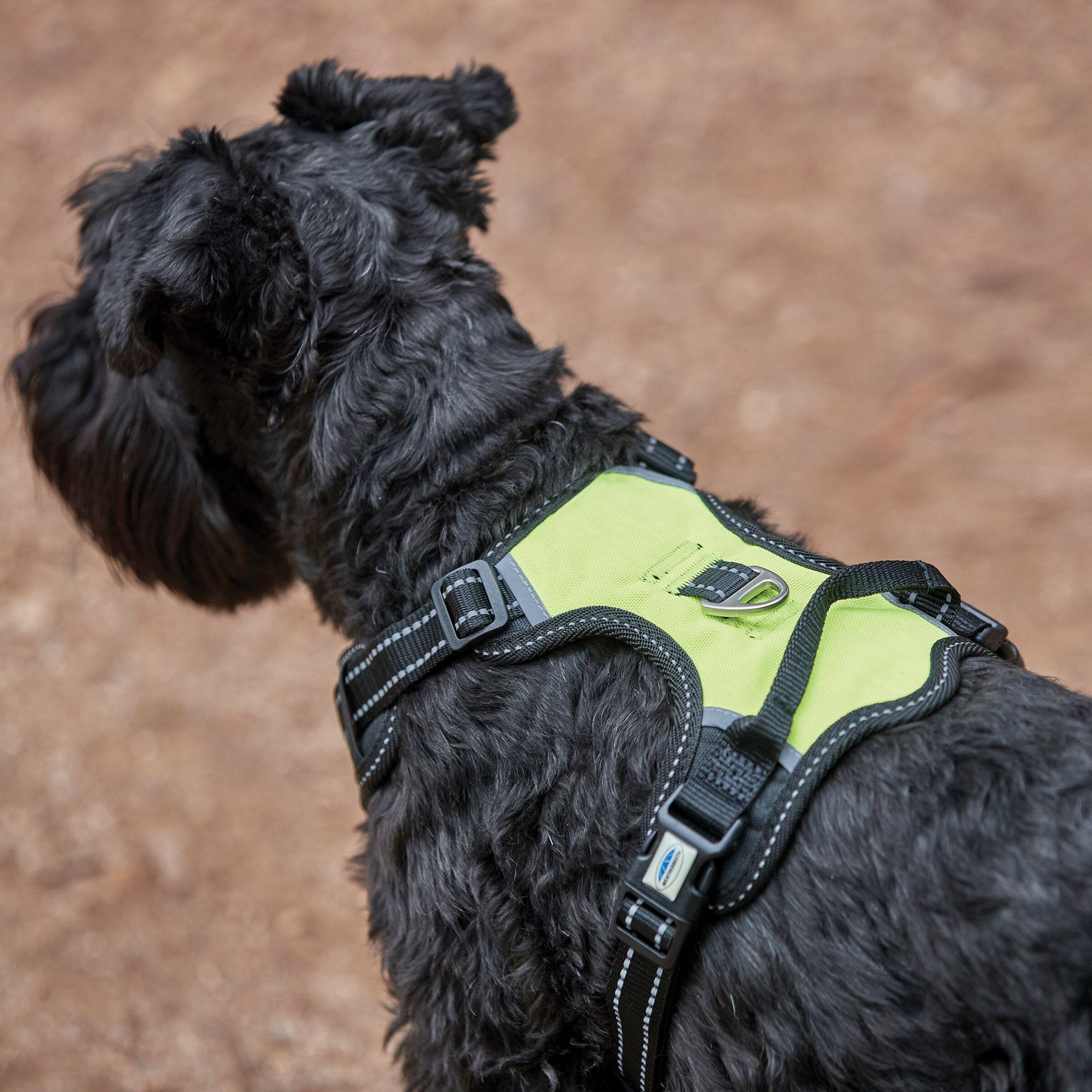 Harnais pour chien de voyage anti-traction Weatherbeeta 5/5