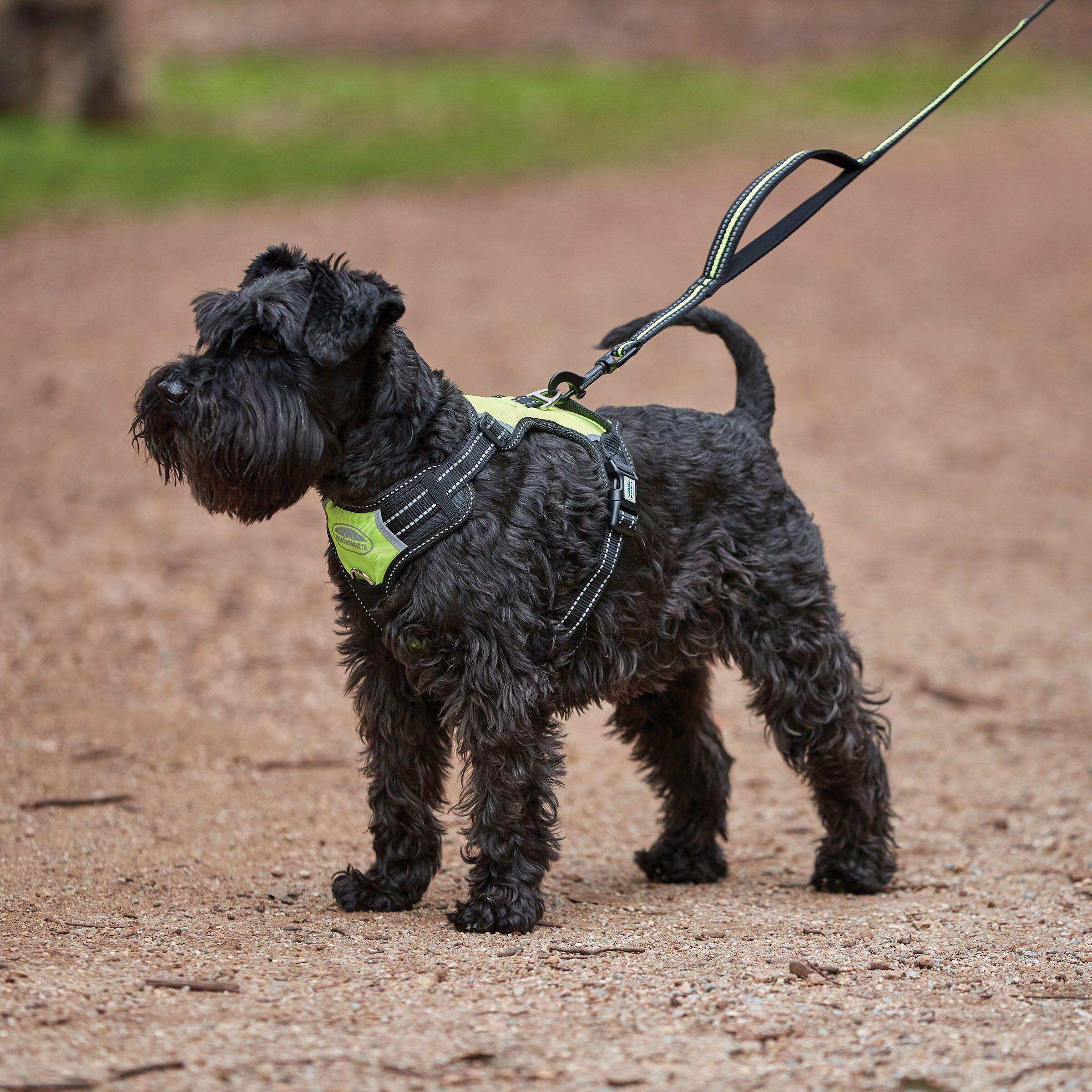 Harnais pour chien de voyage anti-traction Weatherbeeta 3/5