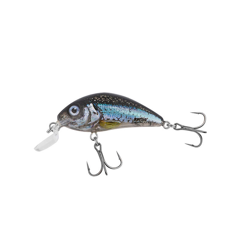 SALMO picture