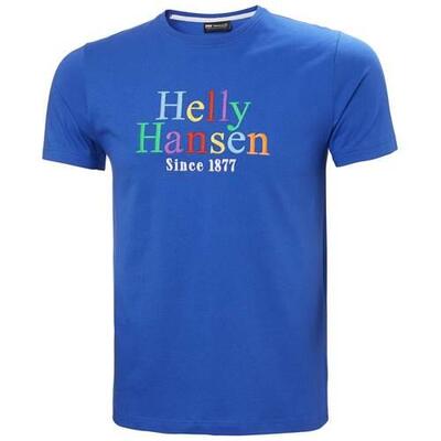 Herren universal Tshirts Helly Hansen Core Graphic