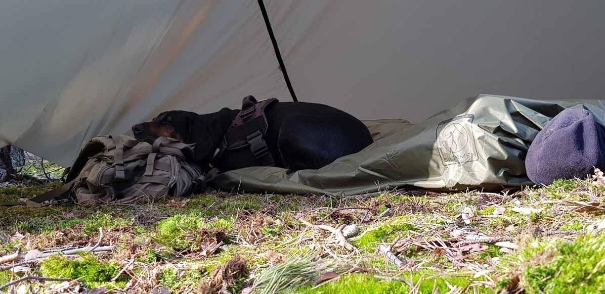 Bushmen Thermodecke - Tarp/Biwak/Poncho/Unterdecke - Olive 2/6