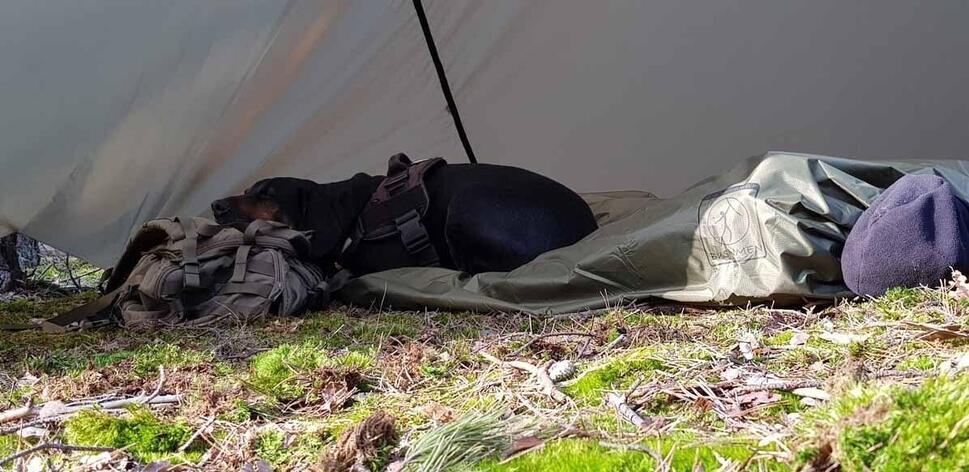 Koc termiczny outdoorowy Bushmen - Tarp/Bivy/Poncho/Underquilt