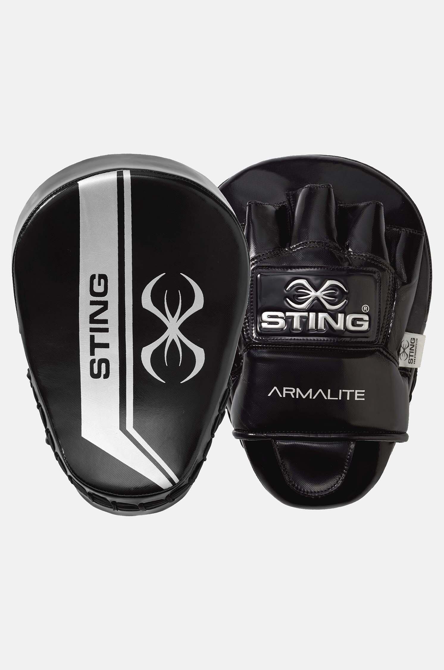 STING picture