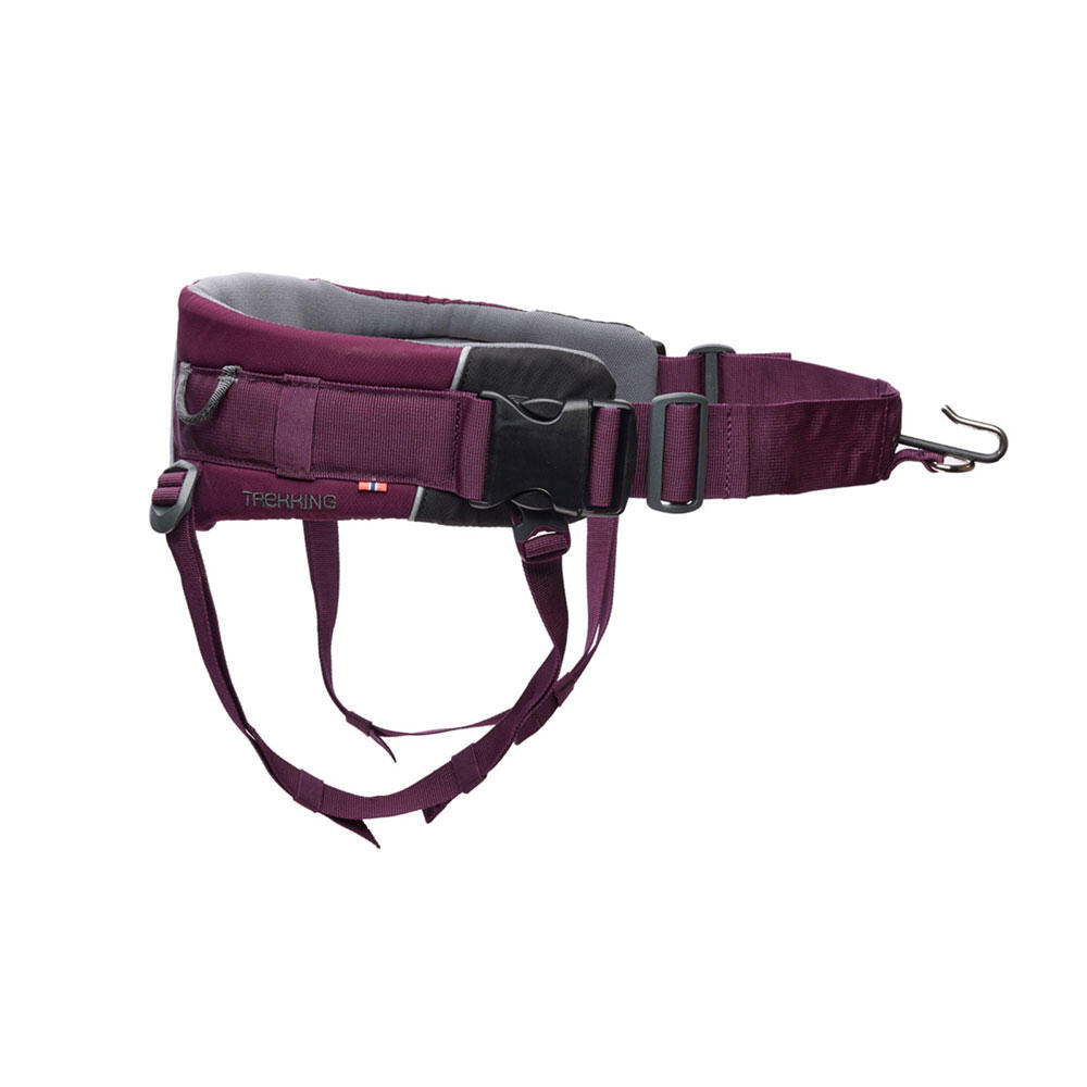 NON-STOP DOGWEAR picture