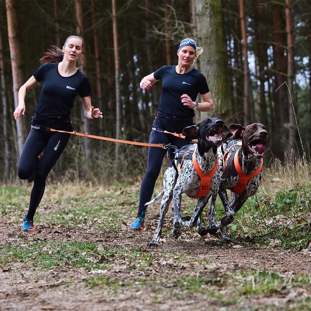 Canicross Non-stop dogwear CaniX running belt CaniX belt pro 6/7