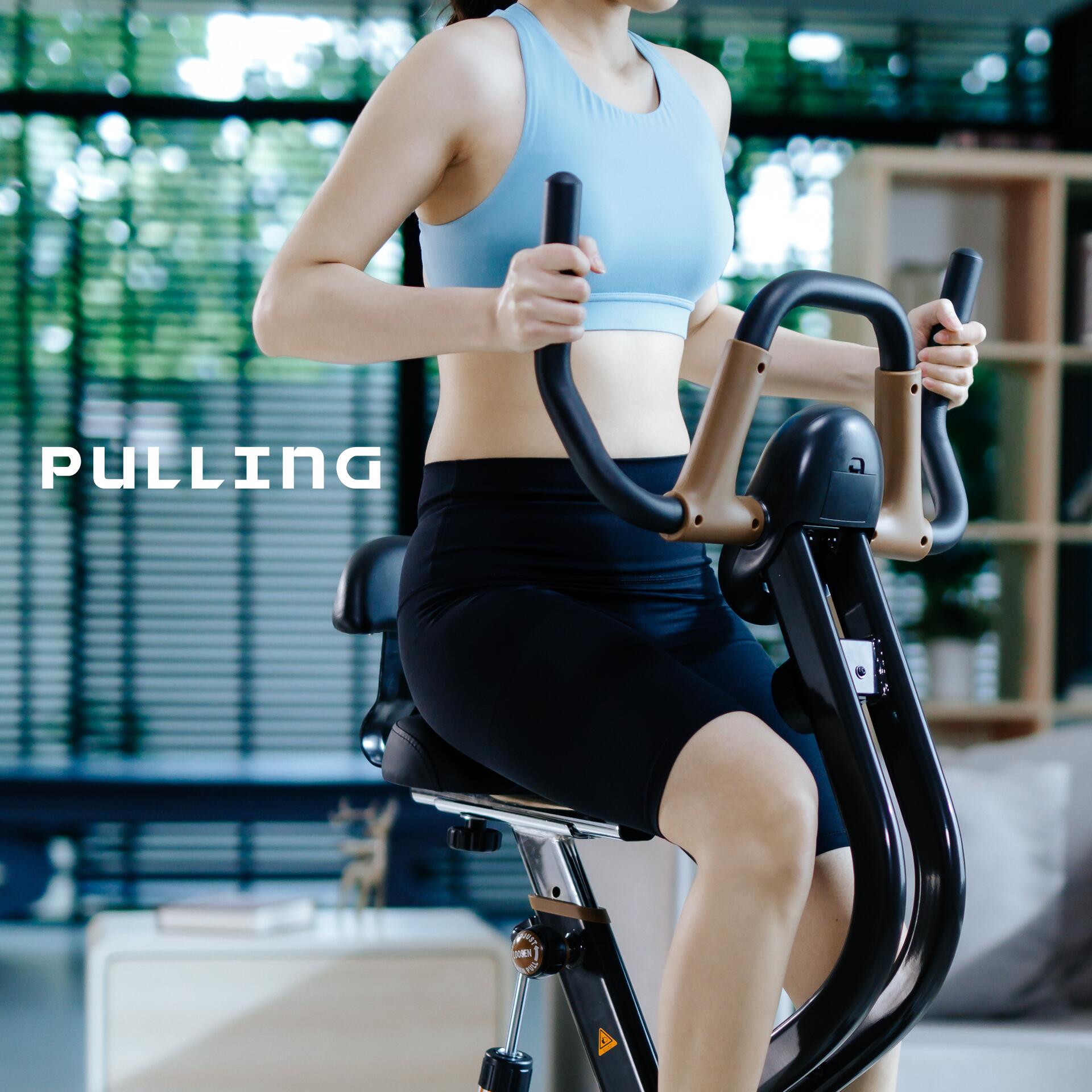 Fitness Rowing Exercise Bike Fitness Machine 2-in-1 Row Bike Plus