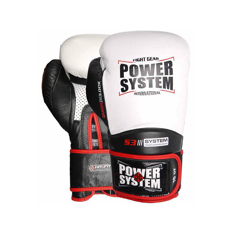 POWER SYSTEM picture