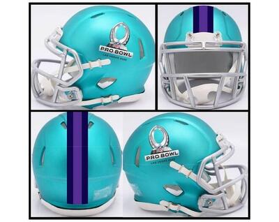 Riddell Geschwindigkeit Mini Helm Pro Bowl