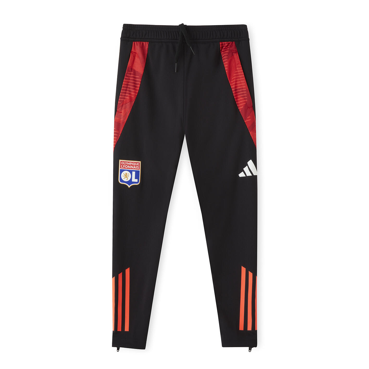 OLYMPIQUE LYONNAIS picture