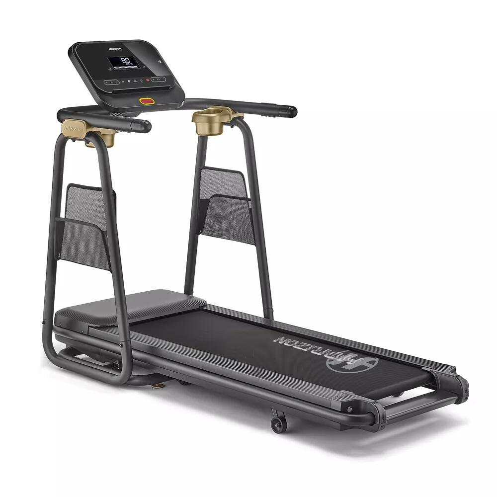 HORIZON FITNESS picture