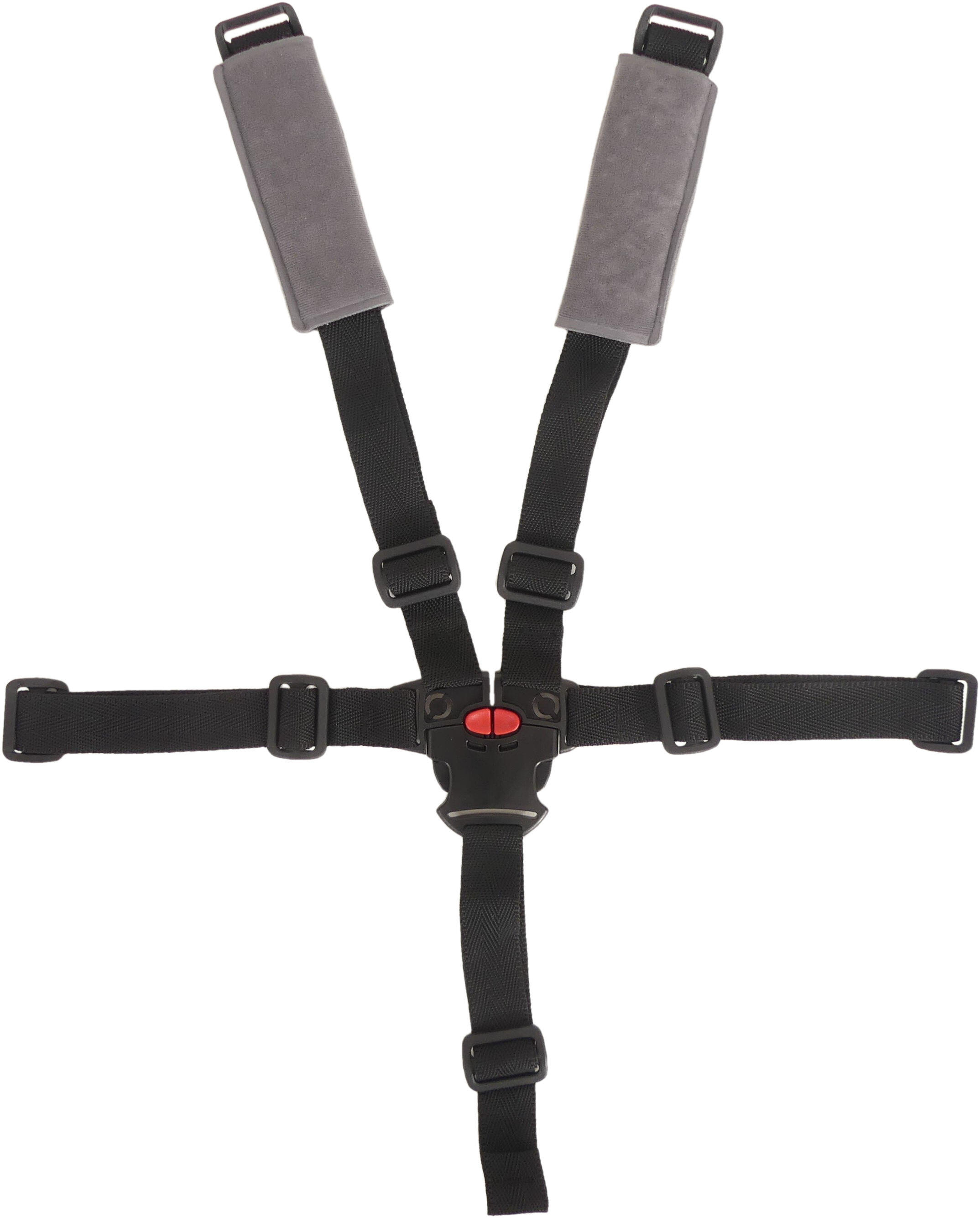 Ceinture de sécurité 5 points Polisport Bilby Ff/Cfs/Rs 2/2