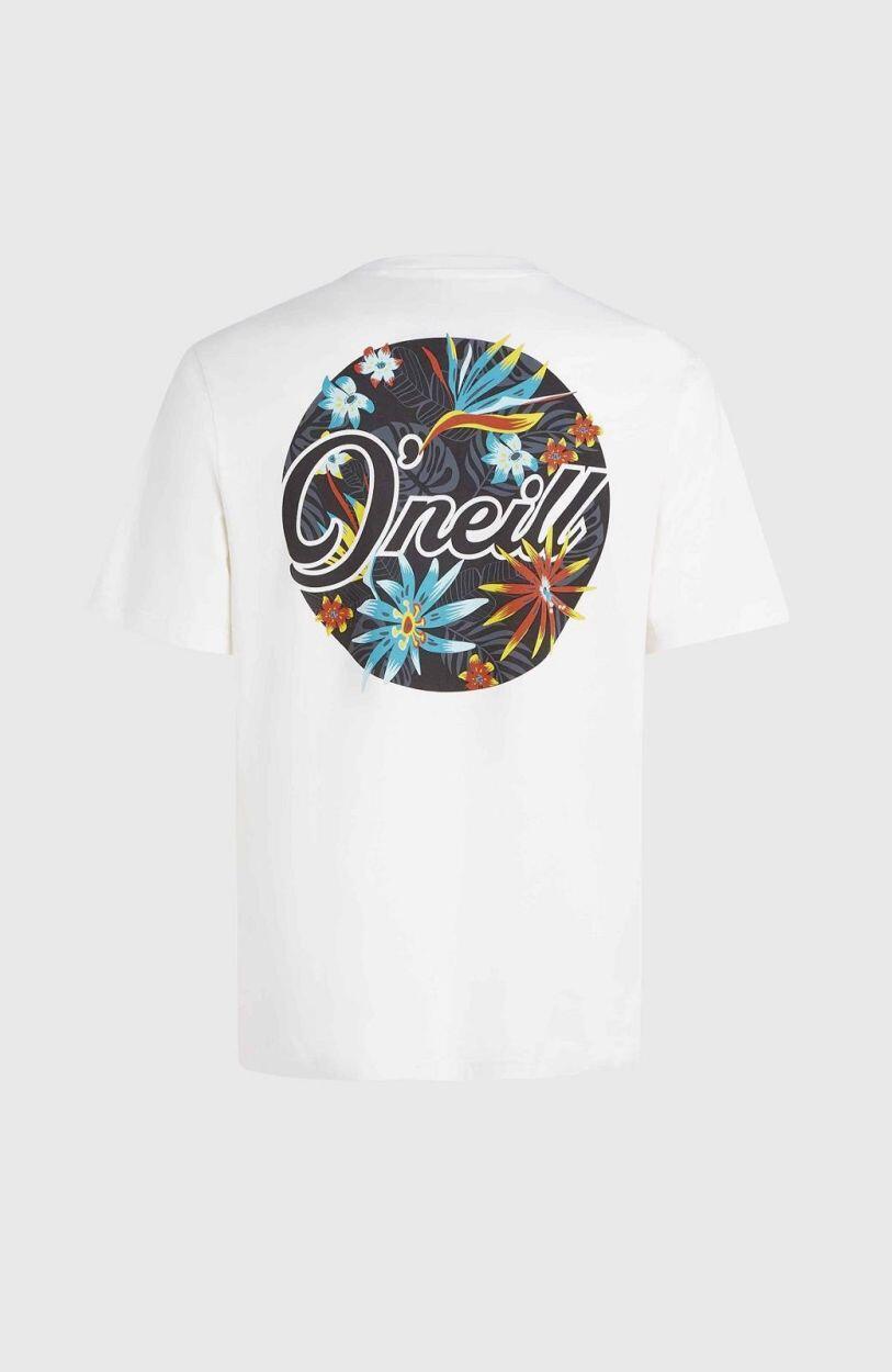 O'NEILL O'neill T-Shirts O'NEILL BEACH GRAPHIC T-SHIRT  Hommes Snow white 2/7