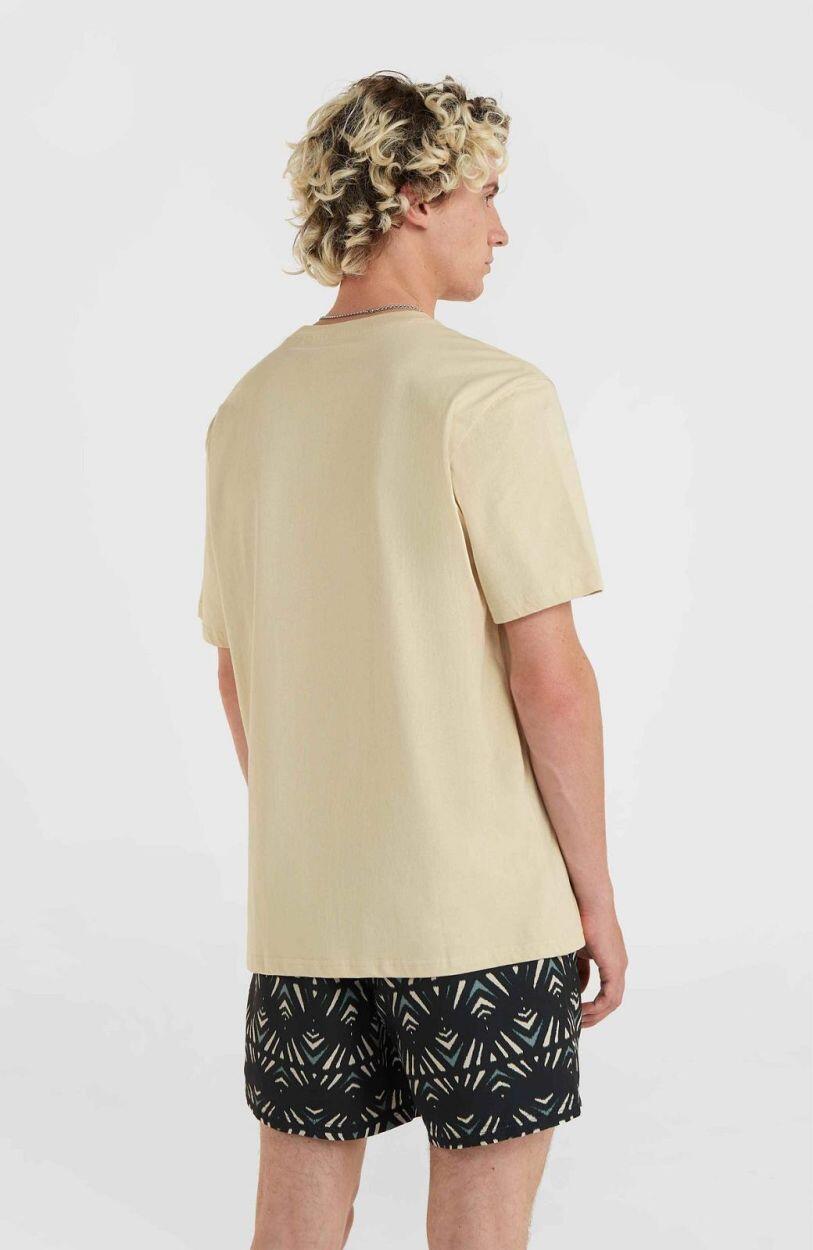 O'NEILL O'neill T-Shirts MIX & MATCH WAVE T-SHIRT HEREN Muslin 5/5
