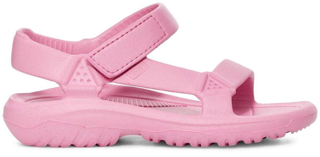TEVA picture