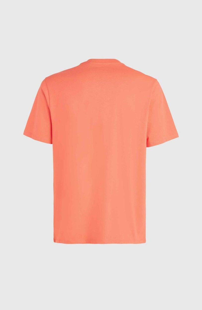 O'NEILL O'neill T-Shirts CALI ORIGINAL T-SHIRT  Hommes Living Coral 2/5