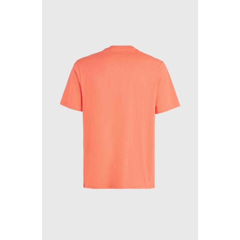 O'NEILL O'neill T-Shirts CALI ORIGINAL T-SHIRT HEREN Living Coral