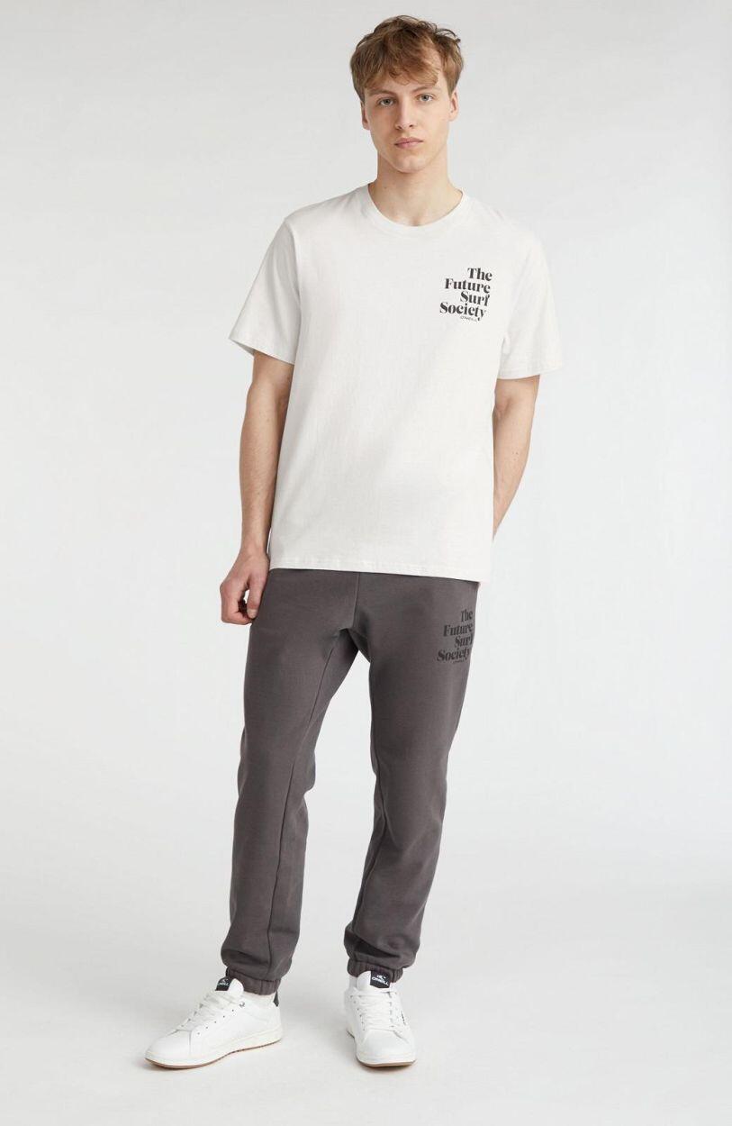 O'NEILL O'neill T-Shirts FUTURE SURF SOCIETY T-SHIRT HEREN London Fog 4/4