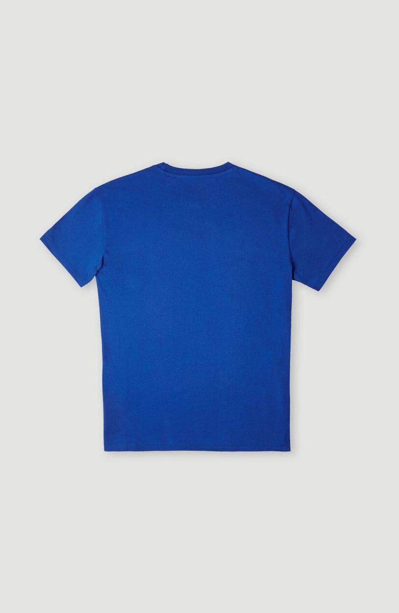 O'NEILL O'neill T-Shirts ANDERS T-SHIRT BOYS' Princess blue 2/4
