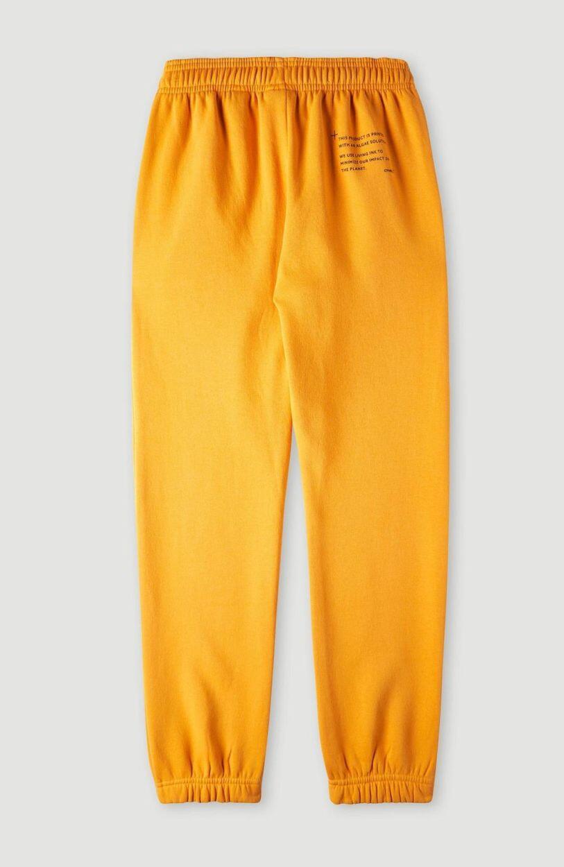 O'NEILL O'neill Pantalons FUTURE SURF JOGGER PANTS  Filles Nugget 2/3
