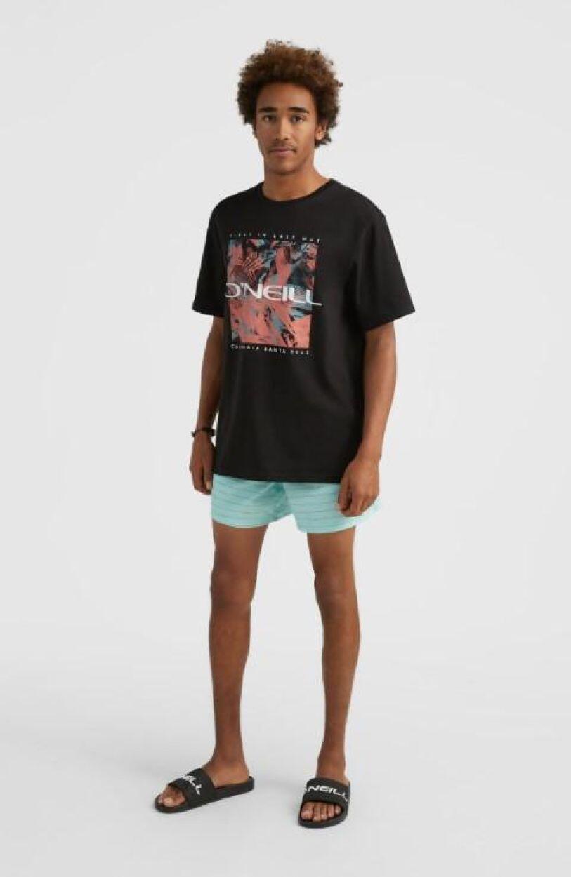 O'NEILL O'neill T-Shirts CRAZY T-SHIRT HEREN Black Out 4/5