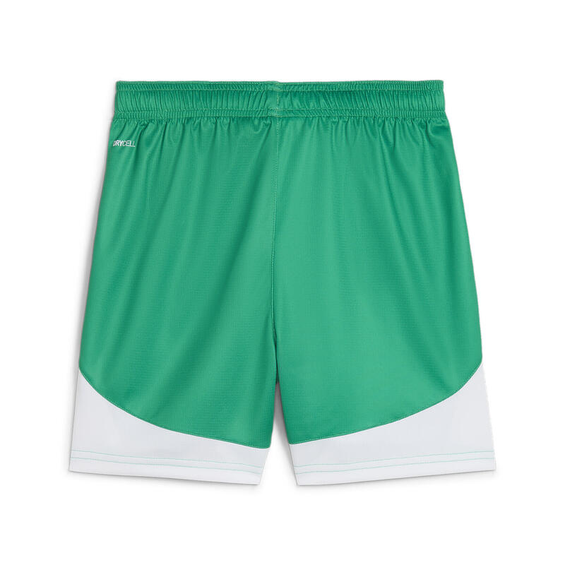 Shorts da calcio SK Rapid Wien per ragazzi PUMA Sport Green White