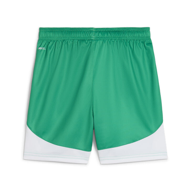 Short de football SK Rapid Wien Enfant et Adolescent PUMA Sport Green White