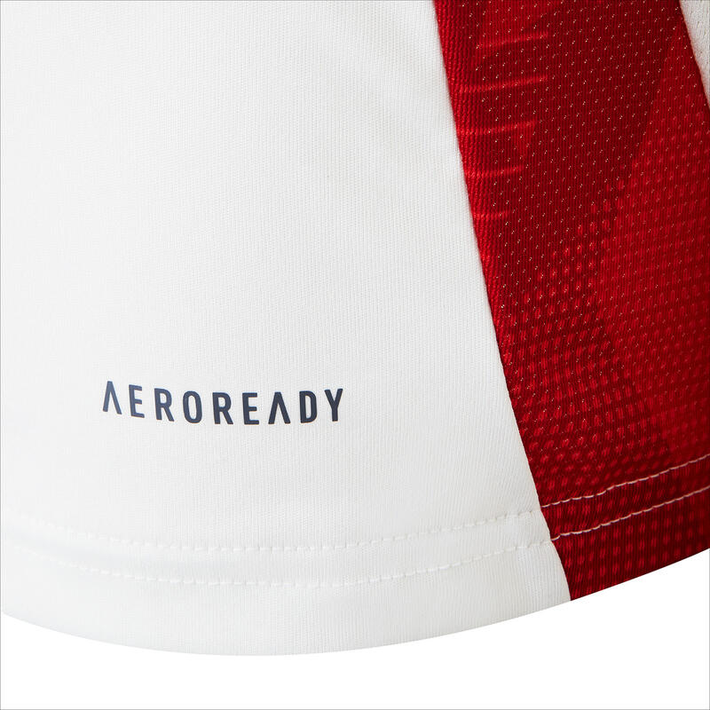 Maillot d'entraînement Joueuse Femme 24-25