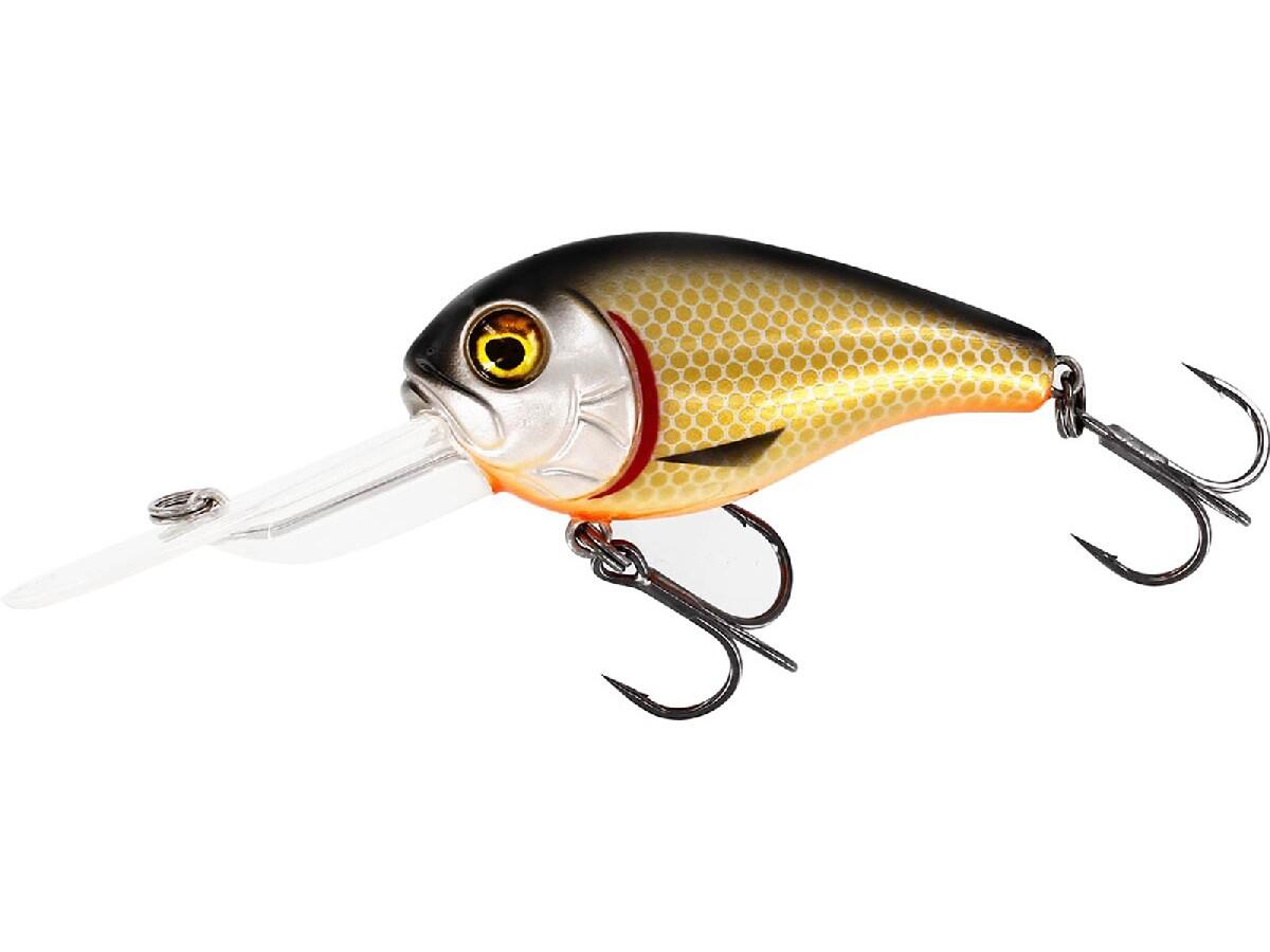 Westin Megabite DR Crankbait 6cm (Cucaracha Oficial) 2/2