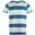 Tricou FUNDANGO Jaggy Stripe, Verde Deschis, Barbati