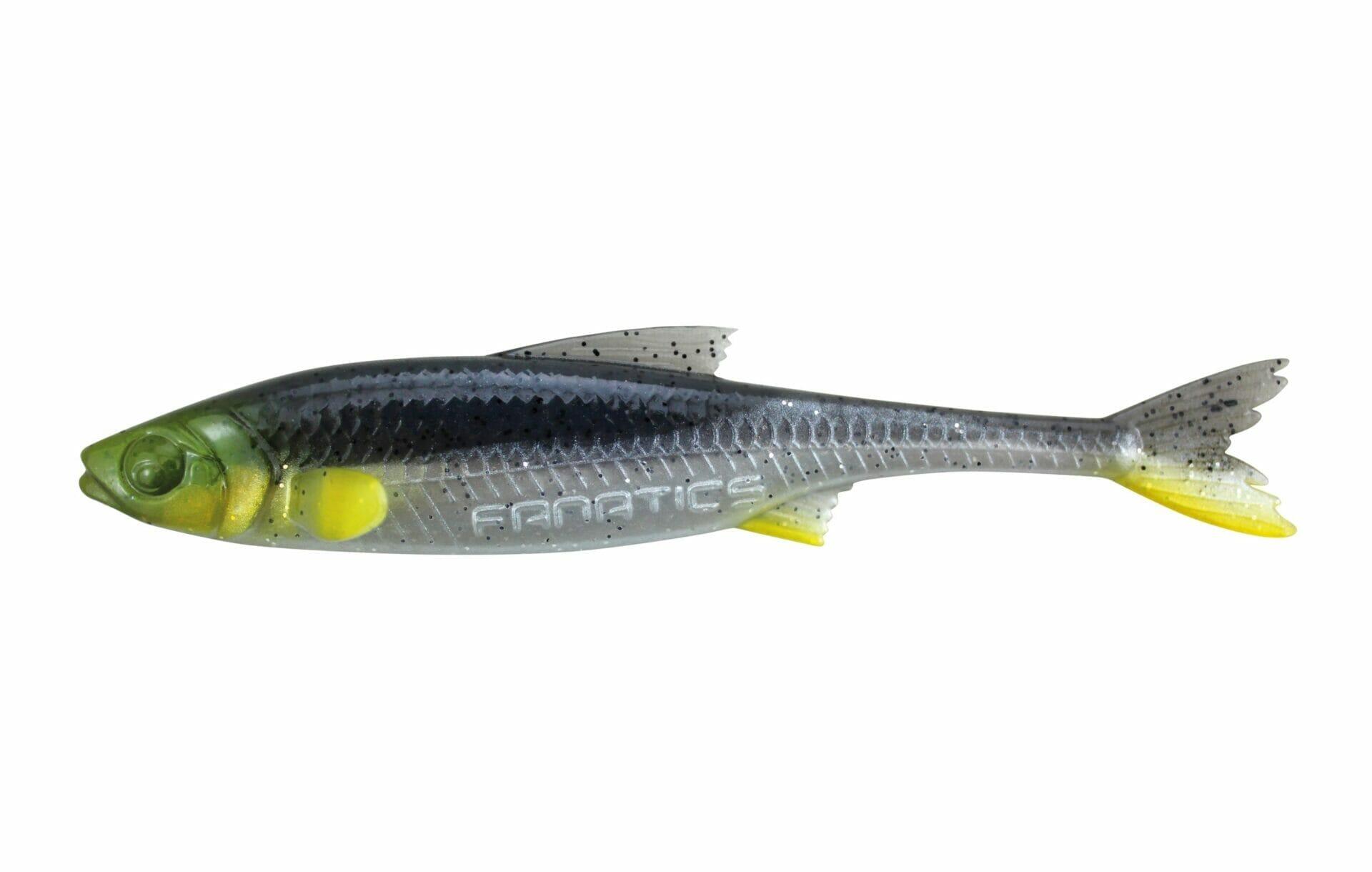 STUCKI FISHING picture