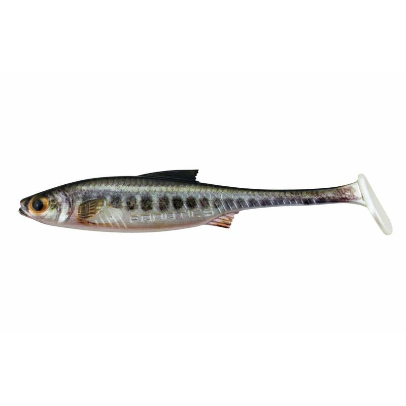 Leurre souple - Stucki - Real Rider PADDLE Tail 10cm/5.8g - Minnow