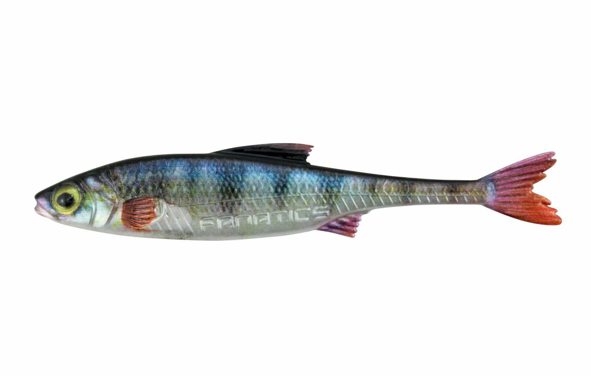 STUCKI FISHING picture