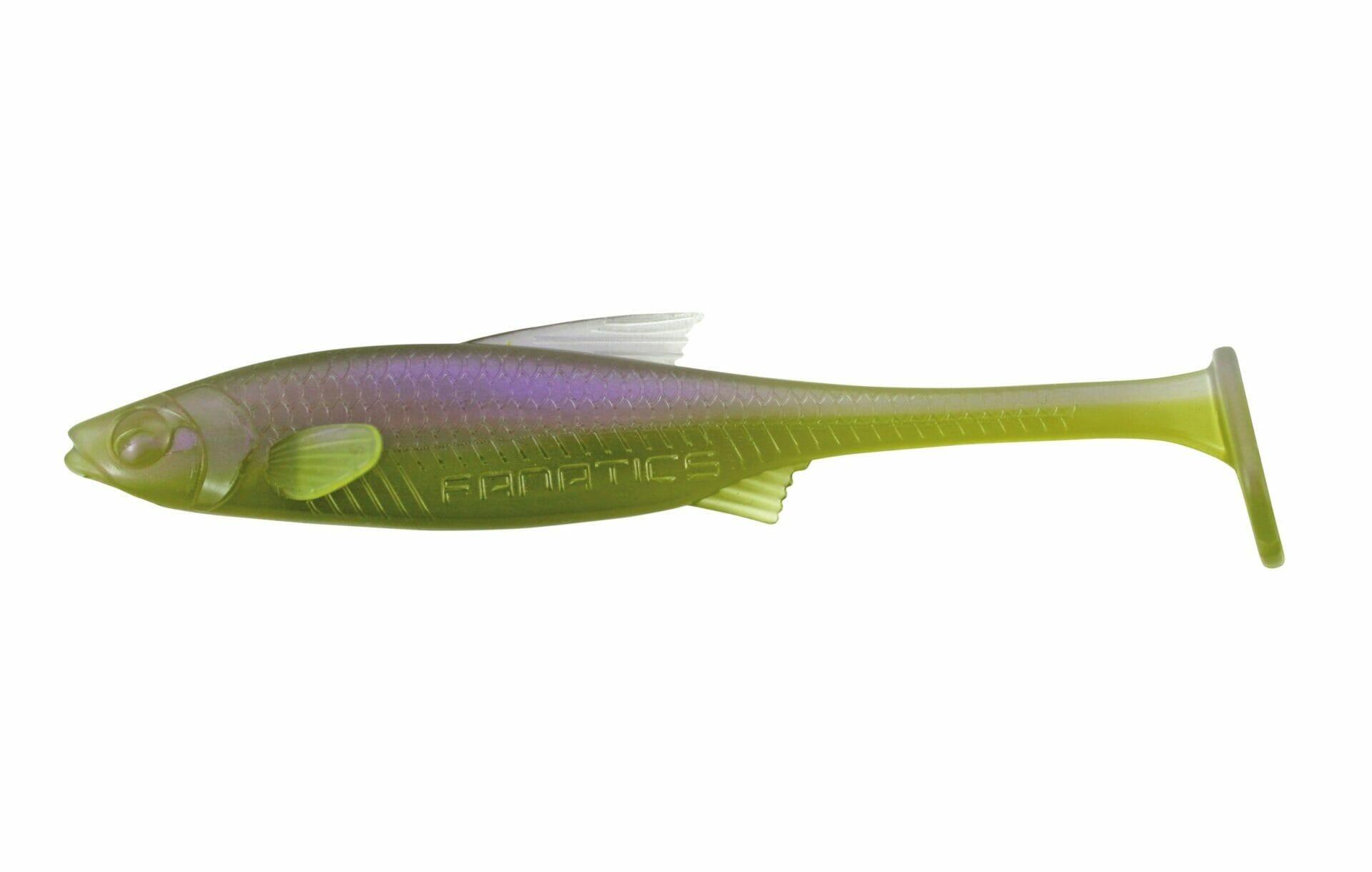 violett / GRÜN