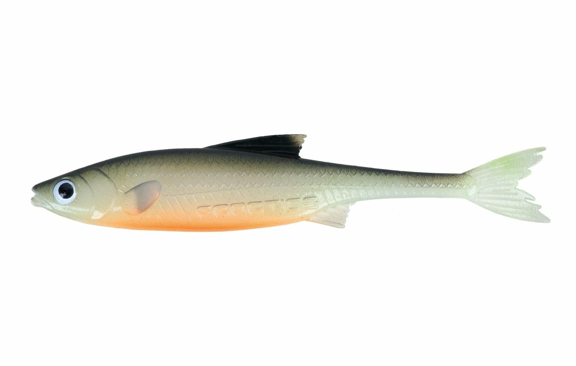 STUCKI FISHING picture