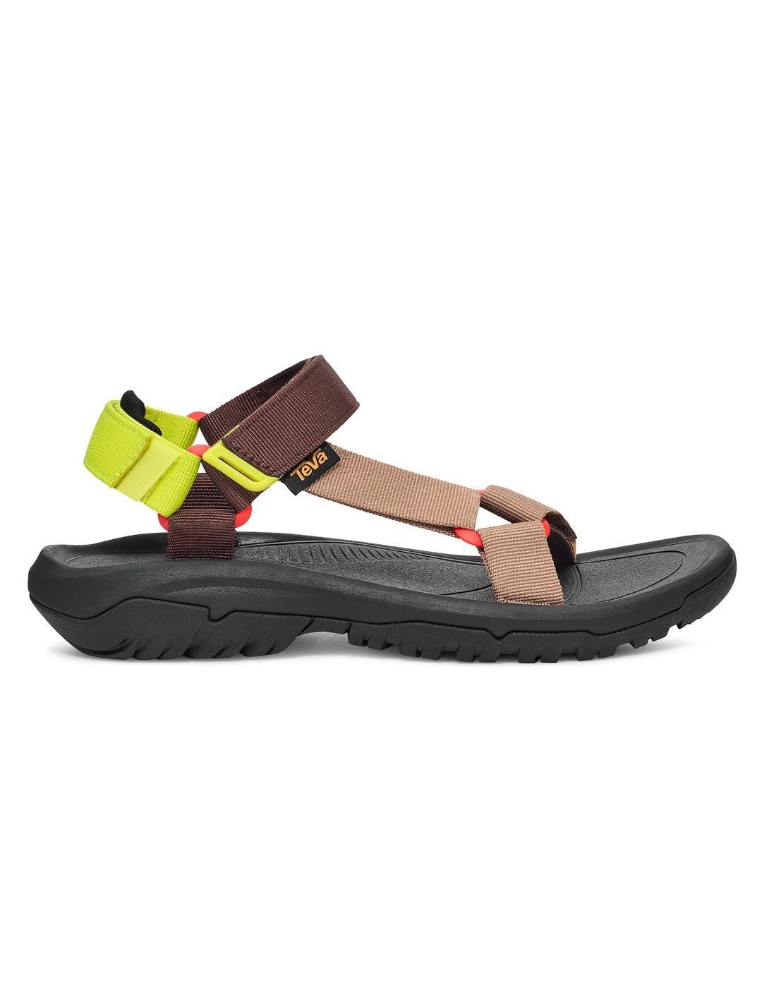 TEVA picture