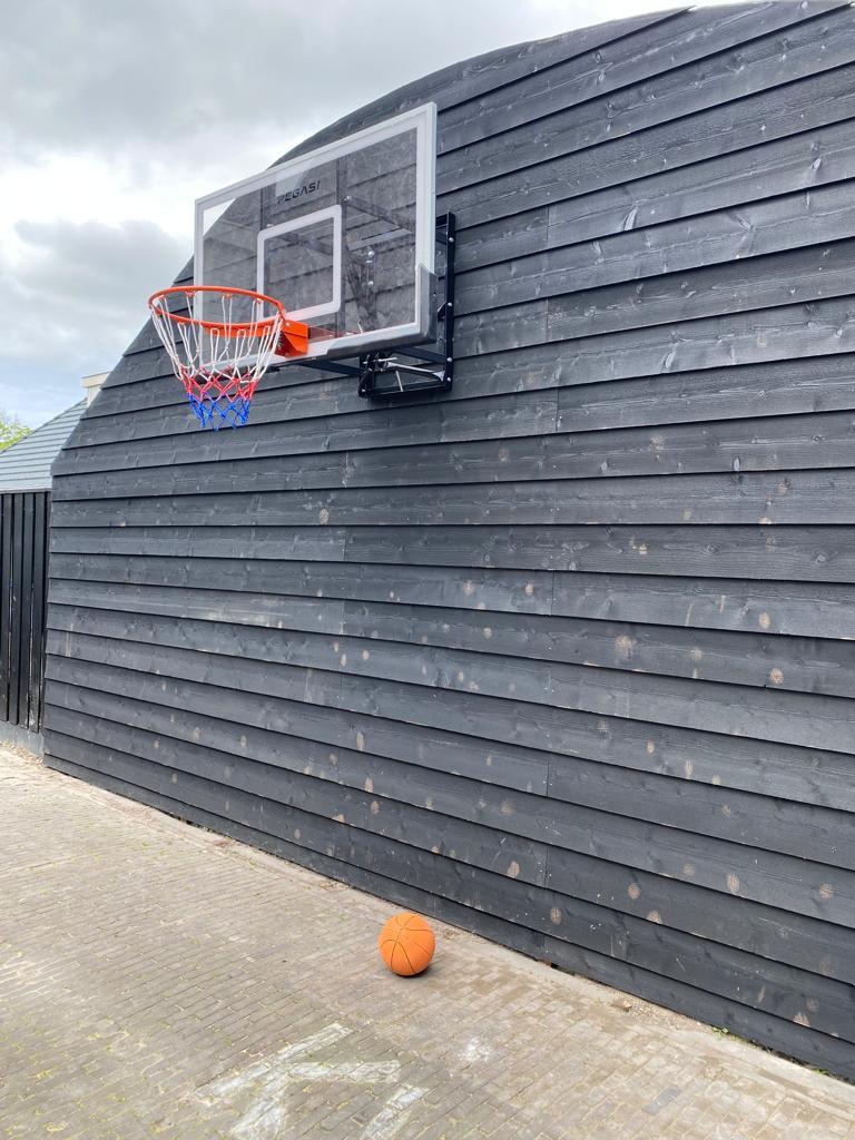 Pegasi Basketballbrett Pro 140x80cm 4/6